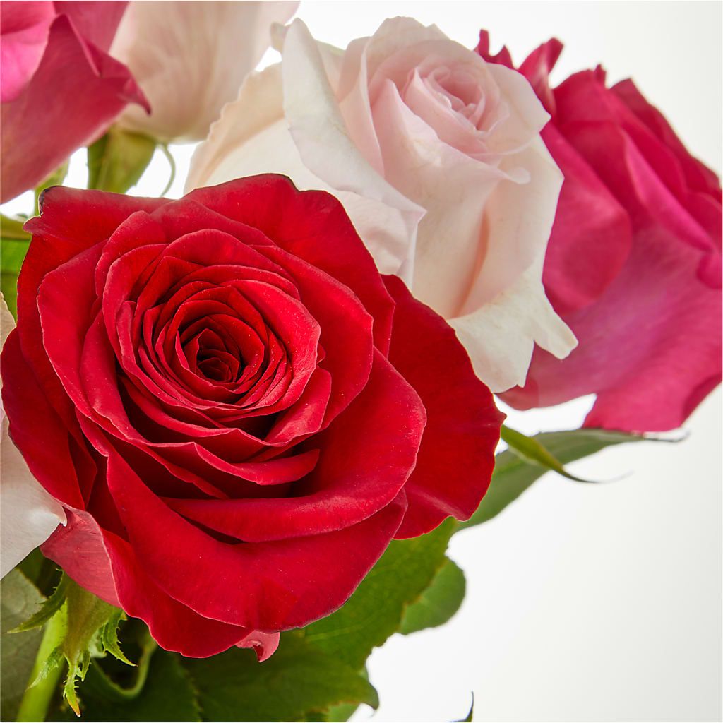 Charming Rose Bouquet – PIKE CREEK FLOWERS & GIFTS, Wilmington DE