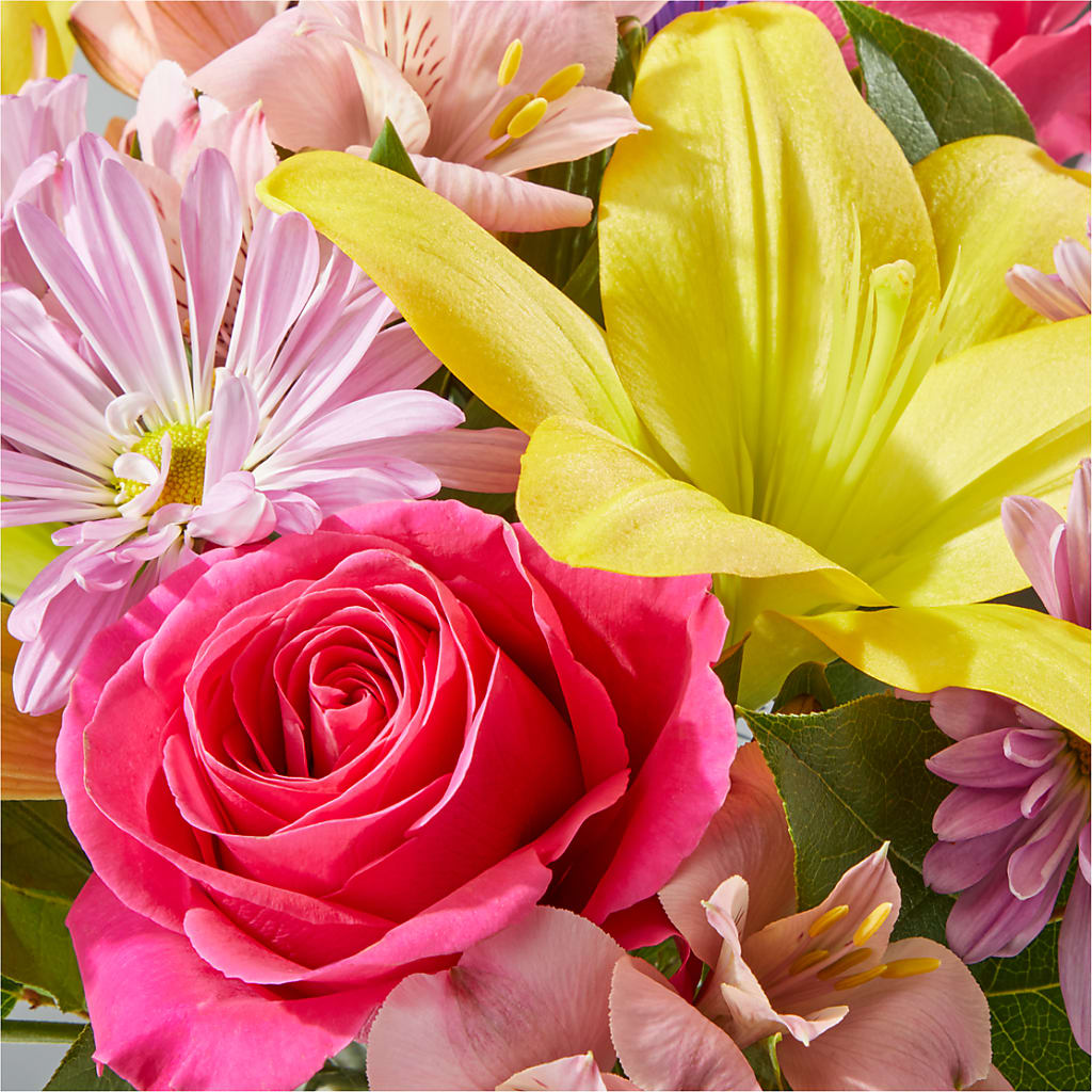 Sprinkles Bouquet – PIKE CREEK FLOWERS & GIFTS, Wilmington DE