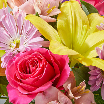 Sprinkles Bouquet – PIKE CREEK FLOWERS & GIFTS, Wilmington DE