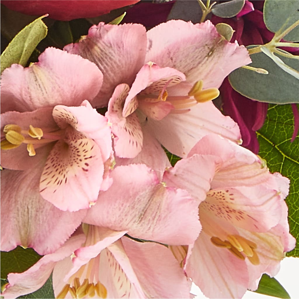 Berry Cobbler Bouquet – PIKE CREEK FLOWERS & GIFTS, Wilmington DE