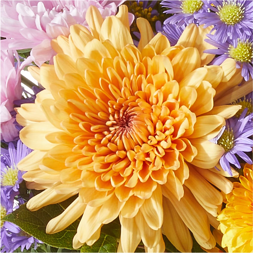 Countryside Bouquet – PIKE CREEK FLOWERS & GIFTS, Wilmington DE