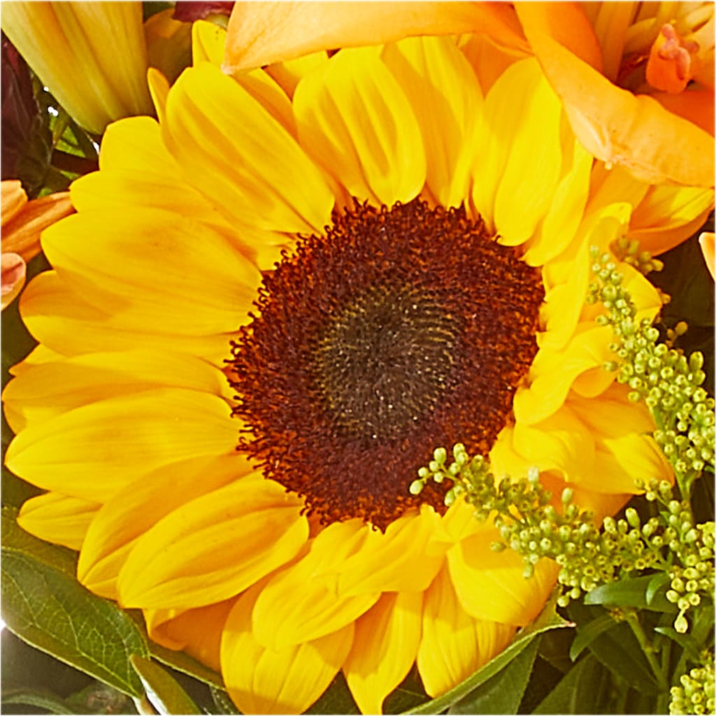 Seasons Change Bouquet – PIKE CREEK FLOWERS & GIFTS, Wilmington DE