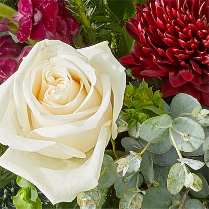 Cranberry Fizz Bouquet – PIKE CREEK FLOWERS & GIFTS, Wilmington DE