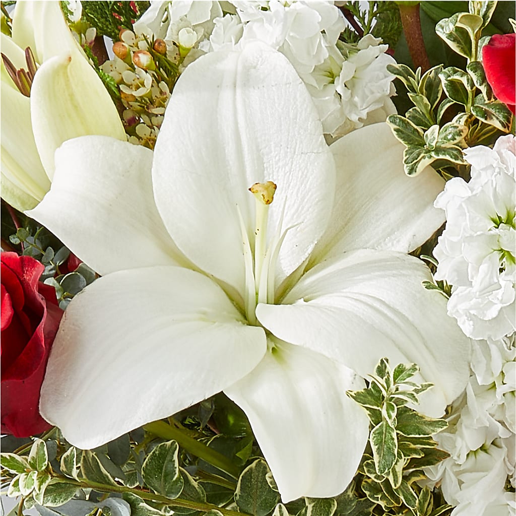 Twinkle Lights Bouquet – PIKE CREEK FLOWERS & GIFTS, Wilmington DE
