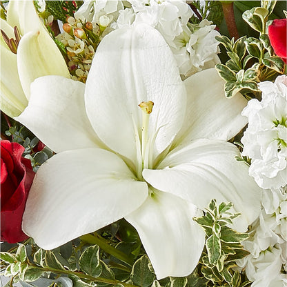 Twinkle Lights Bouquet – PIKE CREEK FLOWERS & GIFTS, Wilmington DE