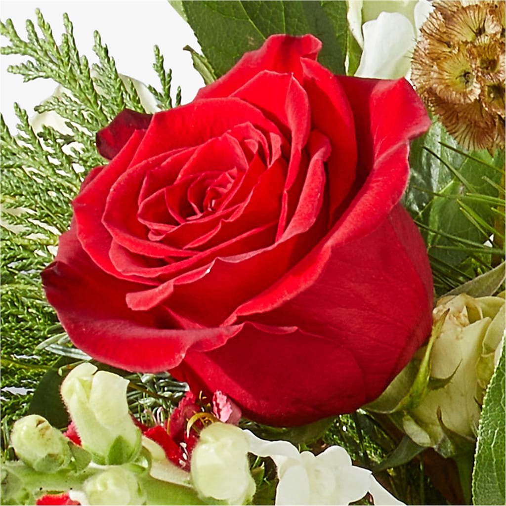 Deck the Halls Bouquet – PIKE CREEK FLOWERS & GIFTS, Wilmington DE