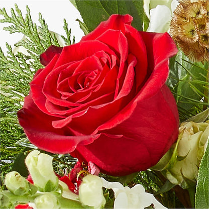 Deck the Halls Bouquet – PIKE CREEK FLOWERS & GIFTS, Wilmington DE