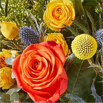 Disco Bouquet – PIKE CREEK FLOWERS & GIFTS, Wilmington DE