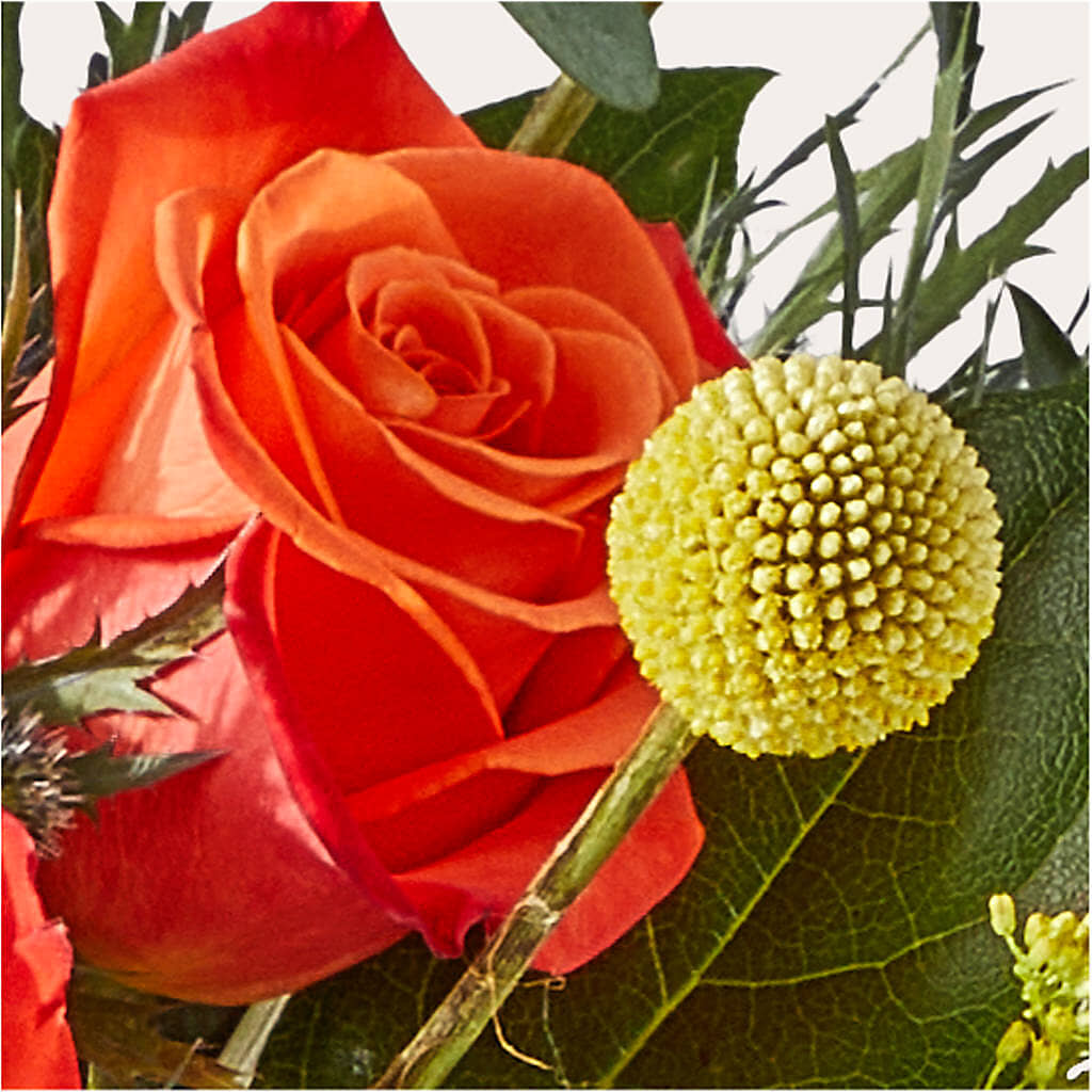 Disco Bouquet – PIKE CREEK FLOWERS & GIFTS, Wilmington DE