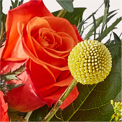 Disco Bouquet – PIKE CREEK FLOWERS & GIFTS, Wilmington DE