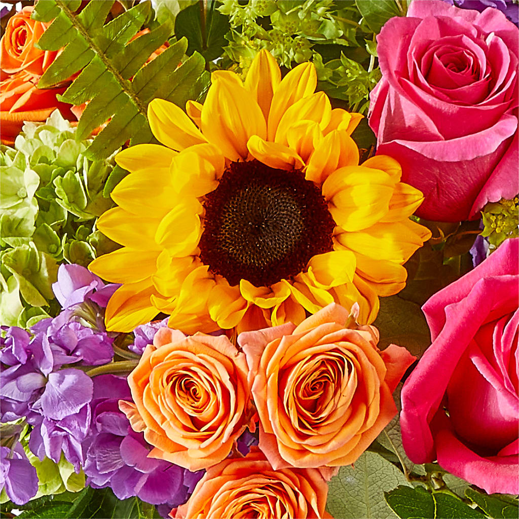 Vibrant Greetings Bouquet – PIKE CREEK FLOWERS & GIFTS, Wilmington DE