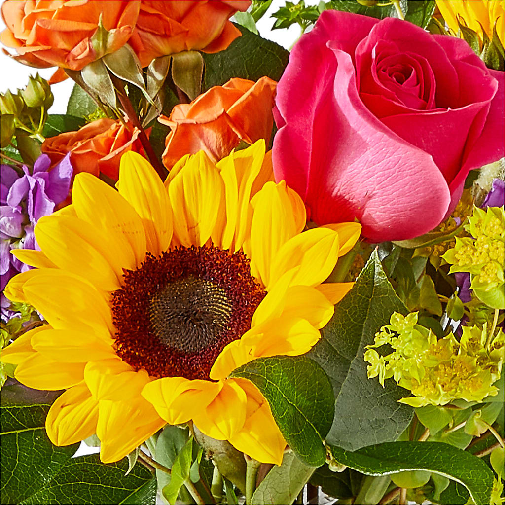 Vibrant Greetings Bouquet – PIKE CREEK FLOWERS & GIFTS, Wilmington DE