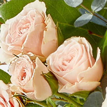 Inspired Bouquet – PIKE CREEK FLOWERS & GIFTS, Wilmington DE