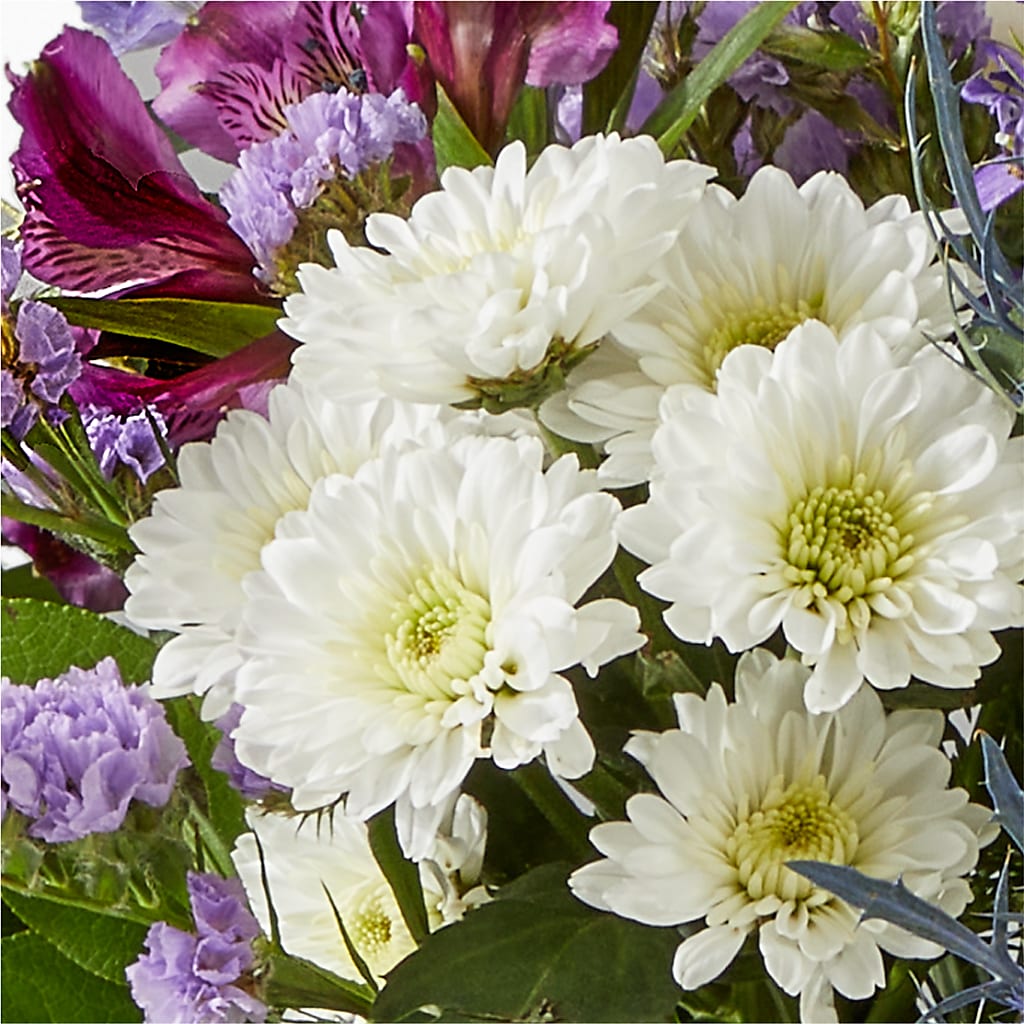 Shooting Star Bouquet – PIKE CREEK FLOWERS & GIFTS, Wilmington DE