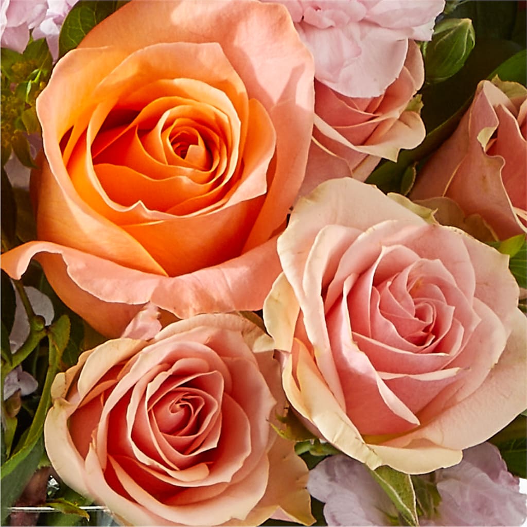 French Market Bouquet – PIKE CREEK FLOWERS & GIFTS, Wilmington DE