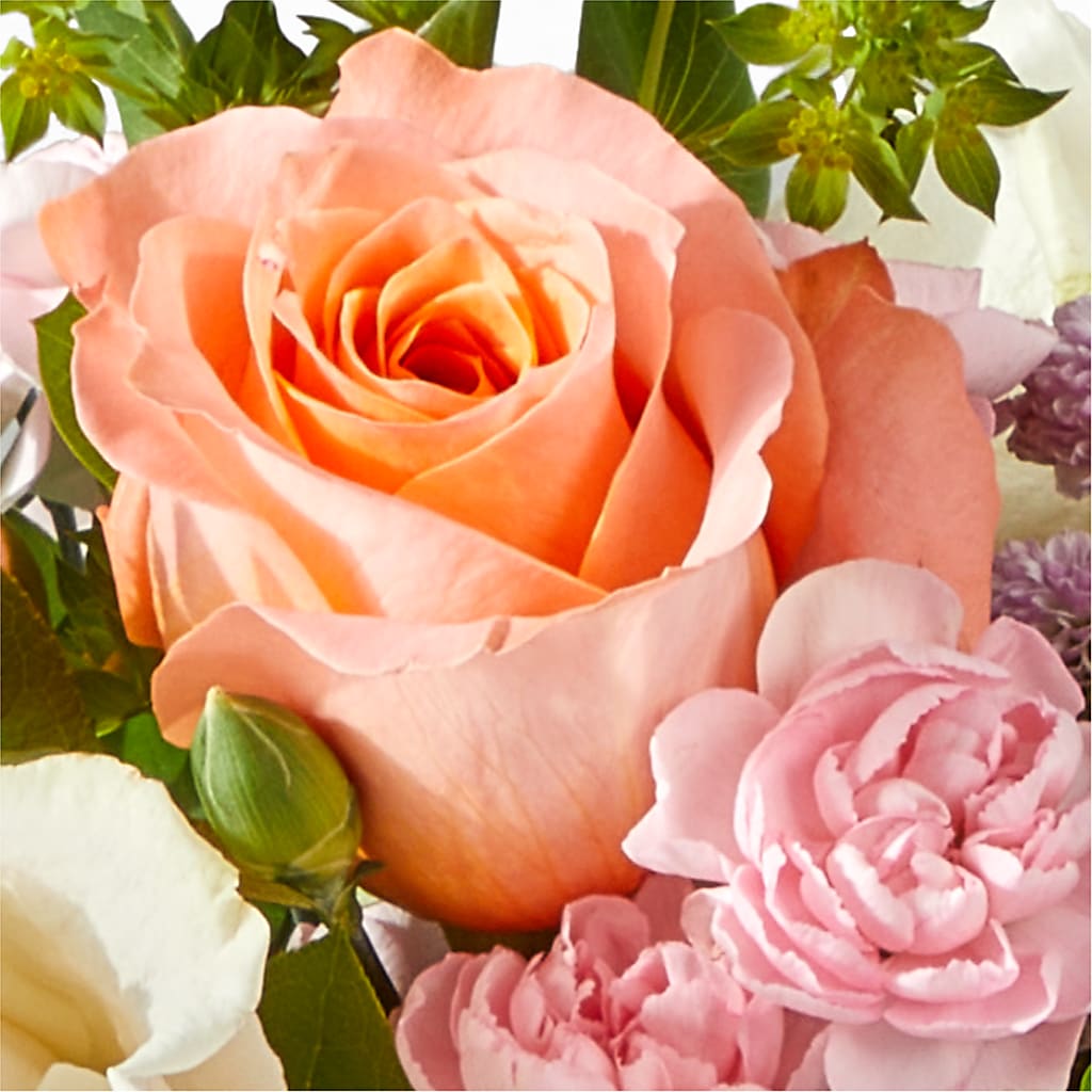 French Market Bouquet – PIKE CREEK FLOWERS & GIFTS, Wilmington DE