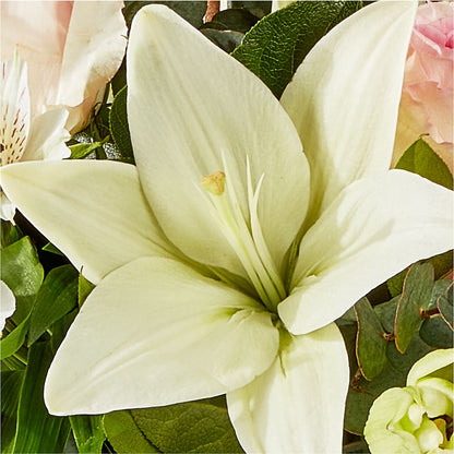 Ballet Slippers Bouquet – PIKE CREEK FLOWERS & GIFTS, Wilmington DE