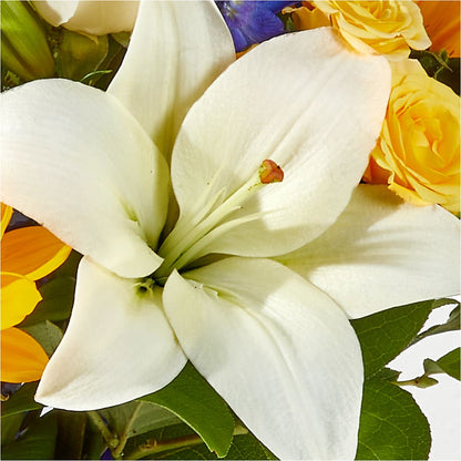 Wonderfully Sunny Bouquet – PIKE CREEK FLOWERS & GIFTS, Wilmington DE
