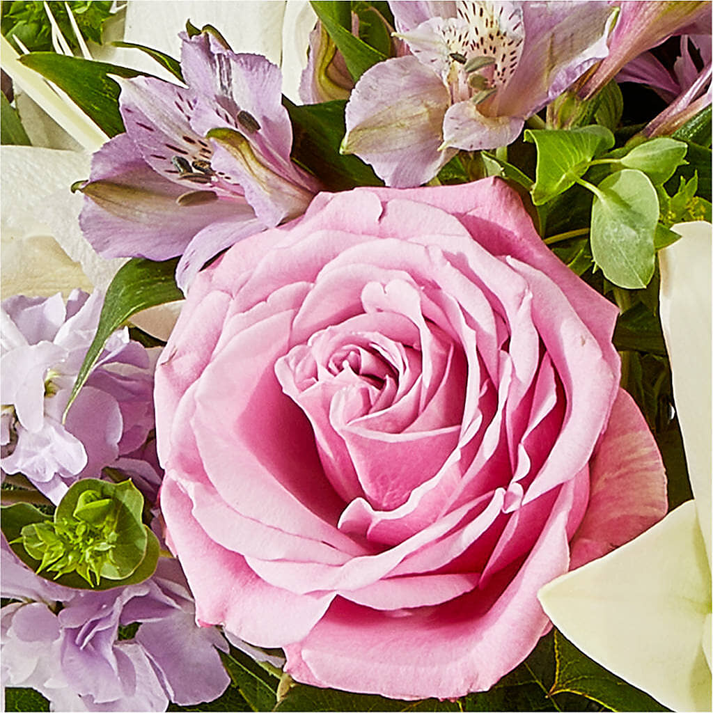 Daydreamer Bouquet – PIKE CREEK FLOWERS & GIFTS, Wilmington DE