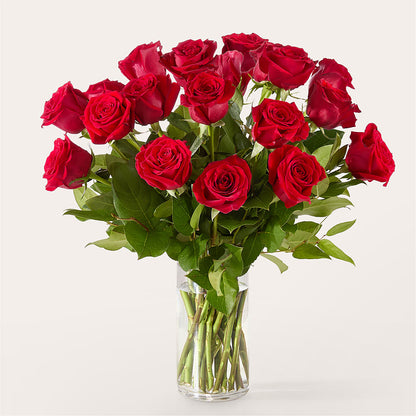 The One Red Rose Bouquet – PIKE CREEK FLOWERS & GIFTS, Wilmington DE