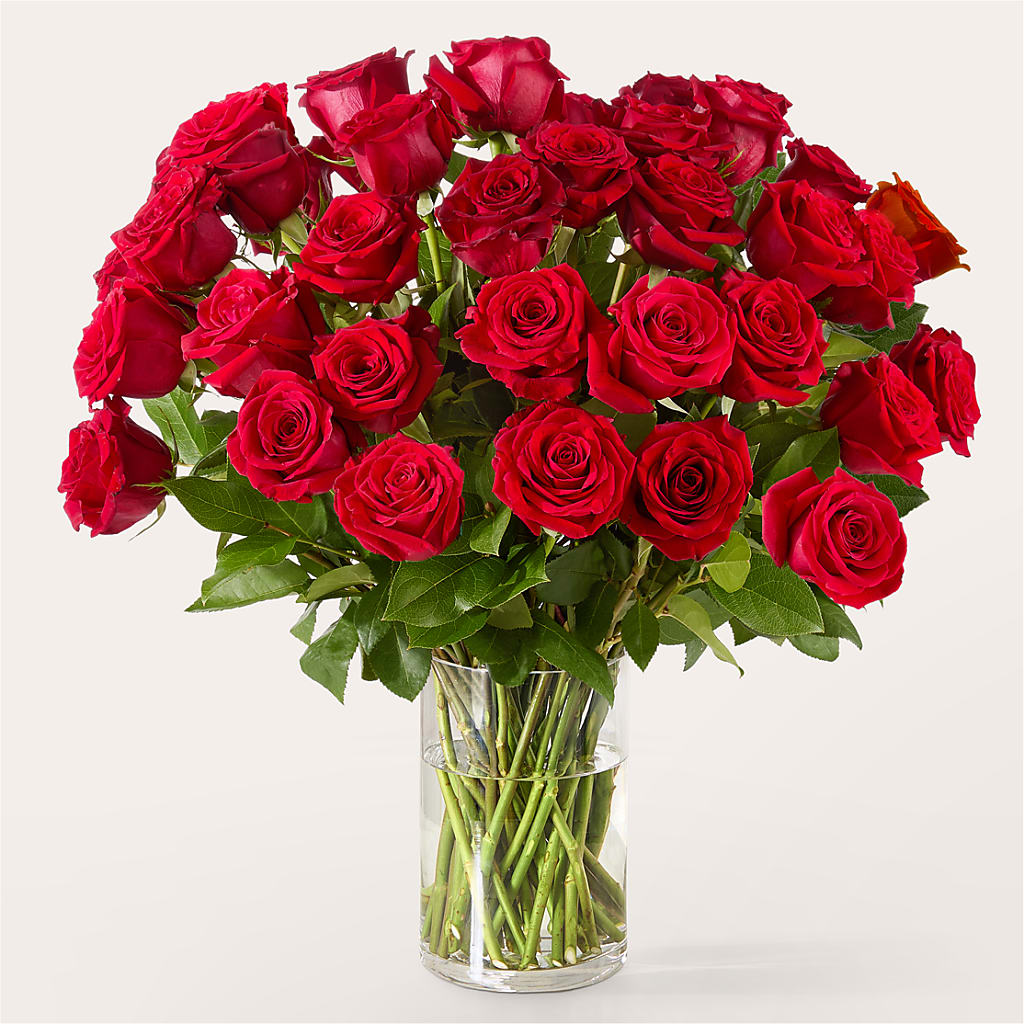 The One Red Rose Bouquet – PIKE CREEK FLOWERS & GIFTS, Wilmington DE