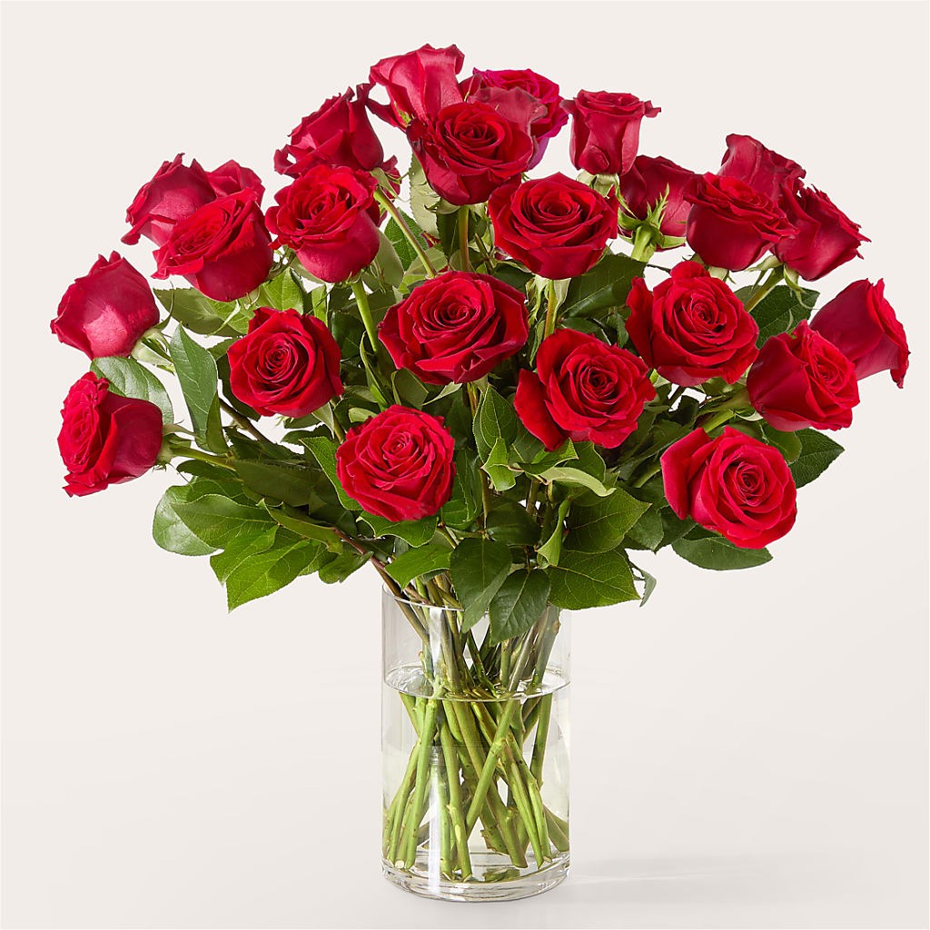 The One Red Rose Bouquet – PIKE CREEK FLOWERS & GIFTS, Wilmington DE