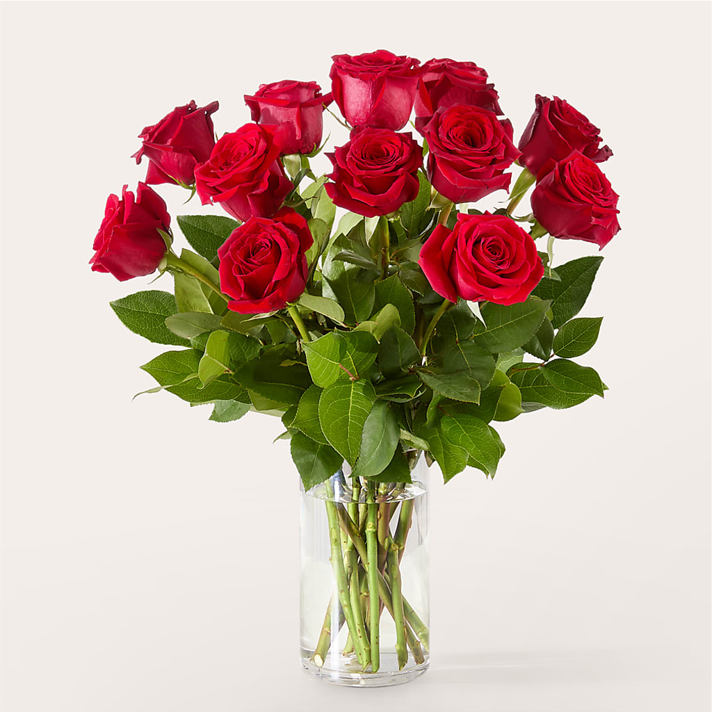 The One Red Rose Bouquet – PIKE CREEK FLOWERS & GIFTS, Wilmington DE