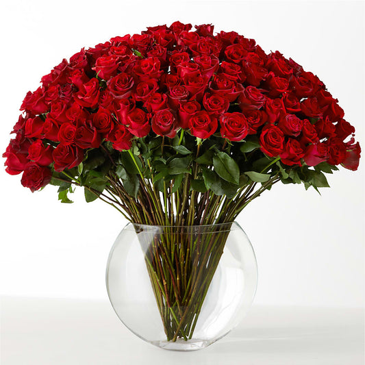 The Idealist – PIKE CREEK FLOWERS & GIFTS, Wilmington DE