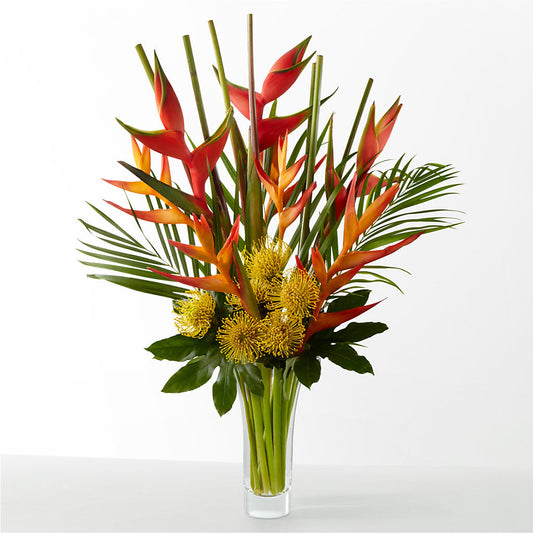 The Drama – PIKE CREEK FLOWERS & GIFTS, Wilmington DE