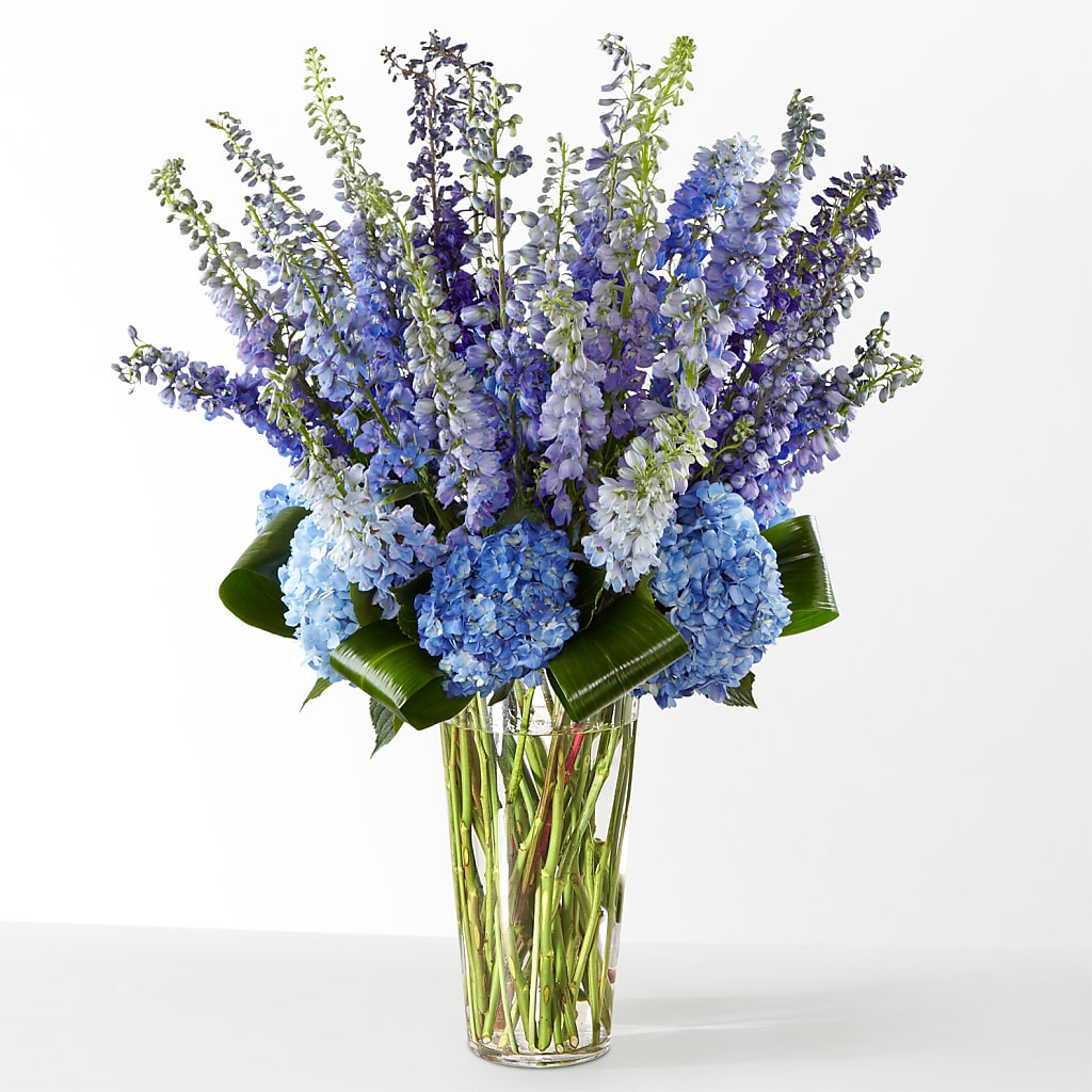 The Editorial – PIKE CREEK FLOWERS & GIFTS, Wilmington DE