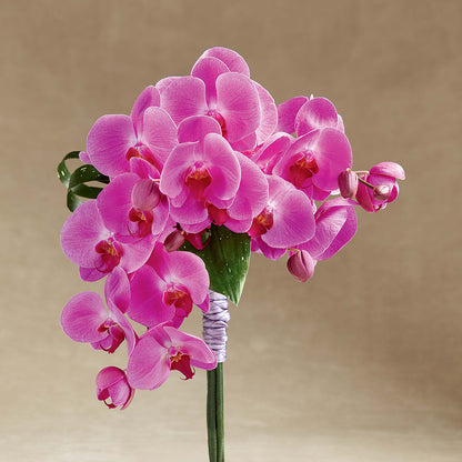 Glorious Bouquet – PIKE CREEK FLOWERS & GIFTS, Wilmington DE