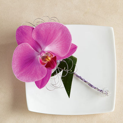 Glorious Boutonniere – PIKE CREEK FLOWERS & GIFTS, Wilmington DE
