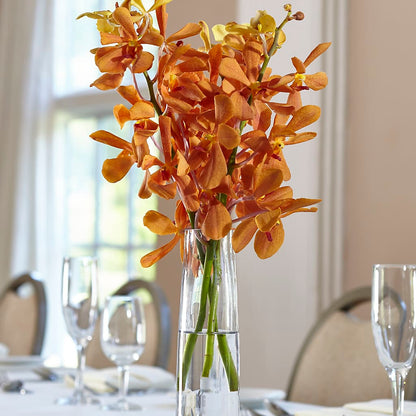 Orange Mokara Bud Vase – PIKE CREEK FLOWERS & GIFTS, Wilmington DE