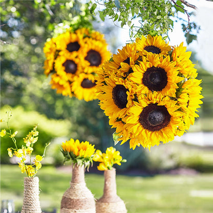 Sublime Garden Hanging Arrangement – PIKE CREEK FLOWERS & GIFTS, Wilmington DE