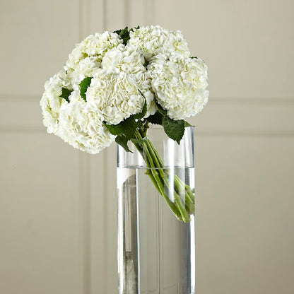 White Hydrangea Hand-Tied Bouquet – PIKE CREEK FLOWERS & GIFTS, Wilmington DE