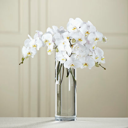 White Phalaenopsis Bouquet – PIKE CREEK FLOWERS & GIFTS, Wilmington DE