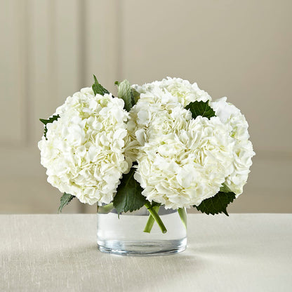 White Hydrangea Bouquet – PIKE CREEK FLOWERS & GIFTS, Wilmington DE